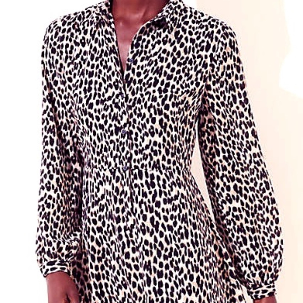 Leopard Print Flare Dress